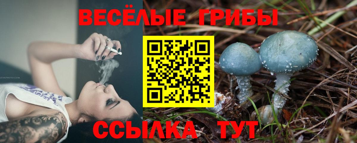 Галлюциногенные грибы мухоморы  что такое наркотик  Новороссийск  Вход с VPN  Галлюциногенные грибы мицелий 